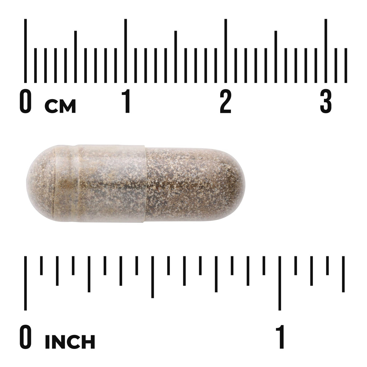 Gymnema Sylvestre Extract - Standardized