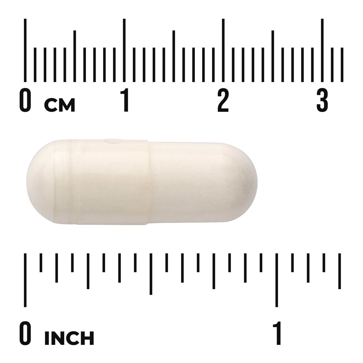 White Kidney Bean Extract