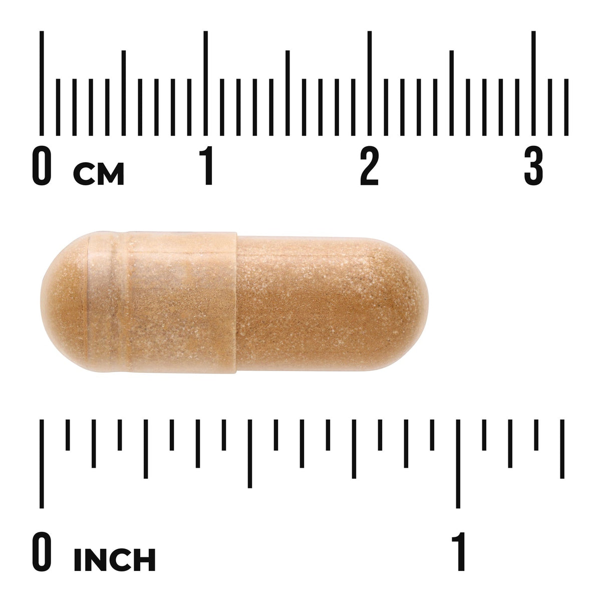 Fucoidan Extract