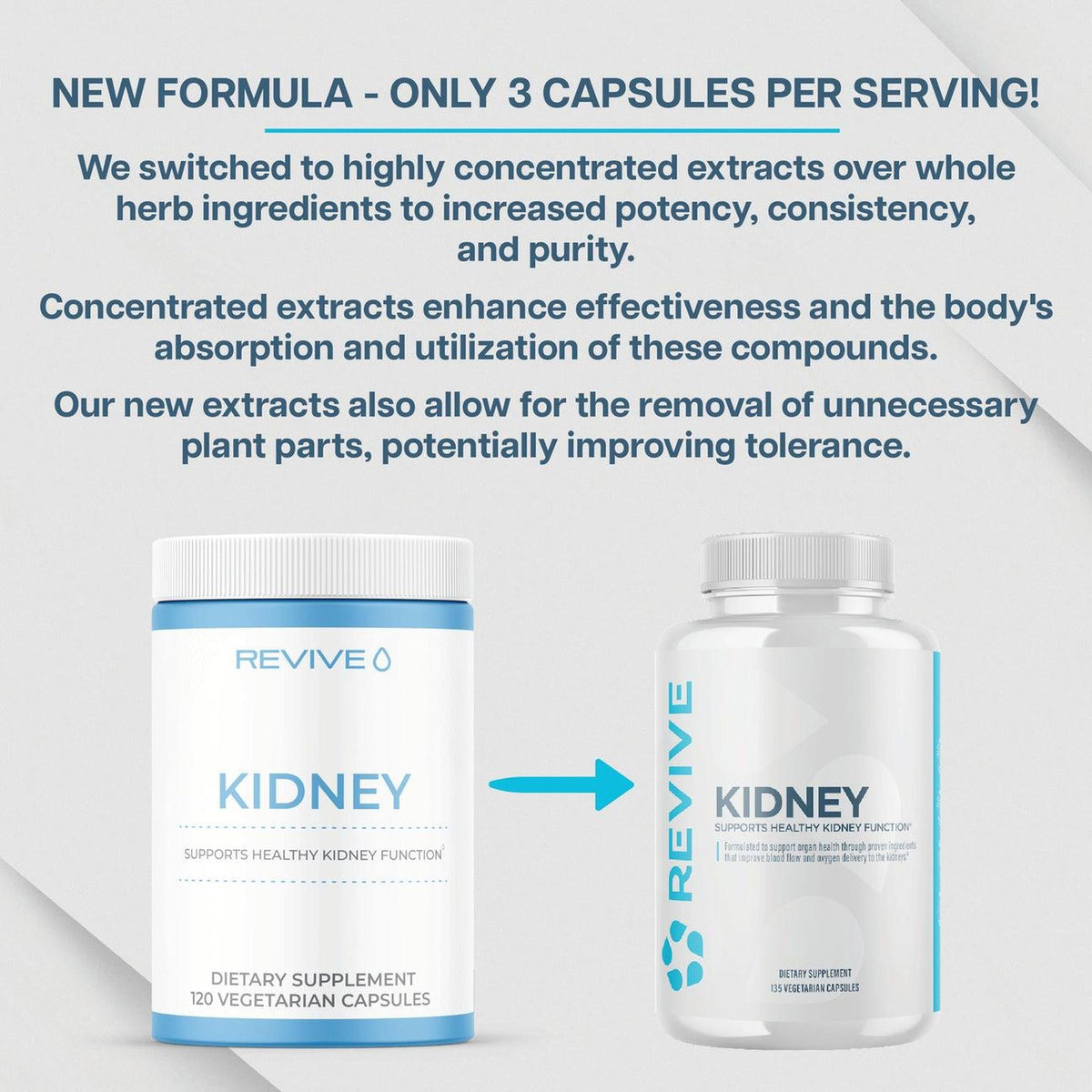 Revive Kidney Support Supplement